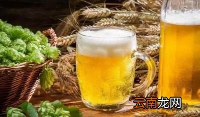 常喝啤酒有什么坏处常喝啤酒有哪些危害