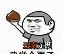 常喝啤酒有什么坏处常喝啤酒有哪些危害