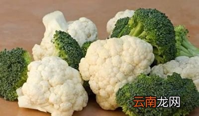 常喝啤酒有什么坏处常喝啤酒有哪些危害