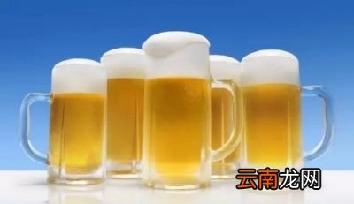 常喝啤酒有什么坏处常喝啤酒有哪些危害