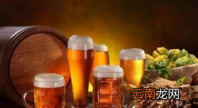 常喝啤酒有什么坏处常喝啤酒有哪些危害