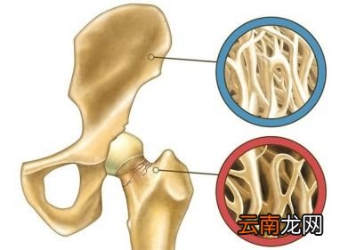 50来岁女性朋友应该吃什么补品