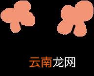 学姐干货 | 武汉科技大学公共管理专业611/820考研经验分享