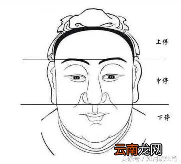 最有福气的鼻子