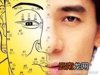 最有福气的鼻子