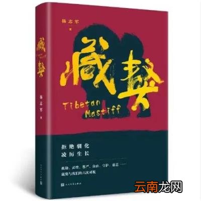 推荐3本好书 | 第195期