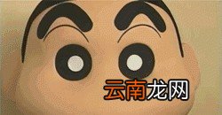 护肤品成分怎么查