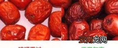 红枣和蜜枣的区别