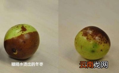 红枣和蜜枣的区别