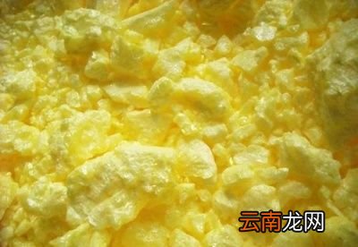 红枣和蜜枣的区别