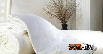 怎么科学地选被子洗被子呢