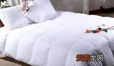 怎么科学地选被子洗被子呢