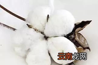 怎么科学地选被子洗被子呢