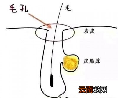 洗脸时用热水还是用凉水可以预防皮肤长痘