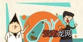 得了胆囊结石应该怎么办