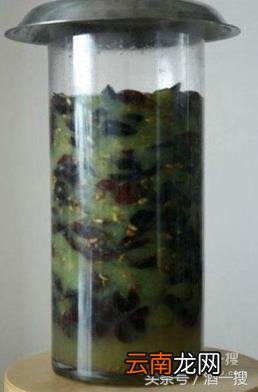 自酿葡萄酒的步骤详解 怎样酿葡萄酒