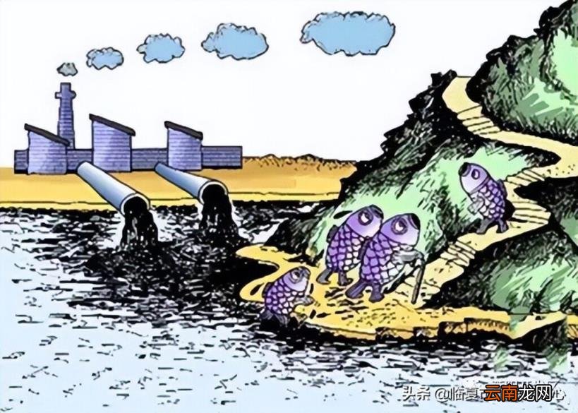 河道的概念 河道是什么意思