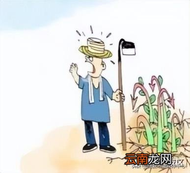 河道的概念 河道是什么意思