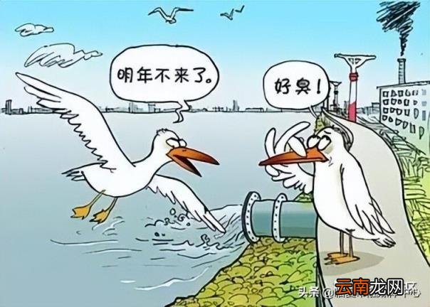 河道的概念 河道是什么意思