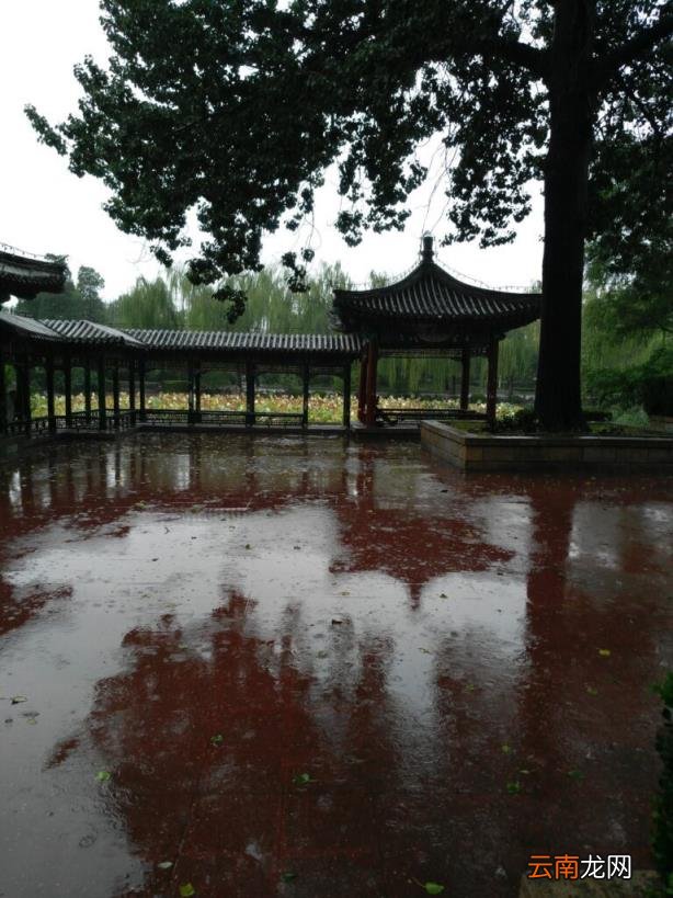 不离不弃的寓意 不离不弃什么意思