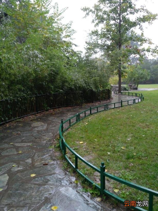 不离不弃的寓意 不离不弃什么意思