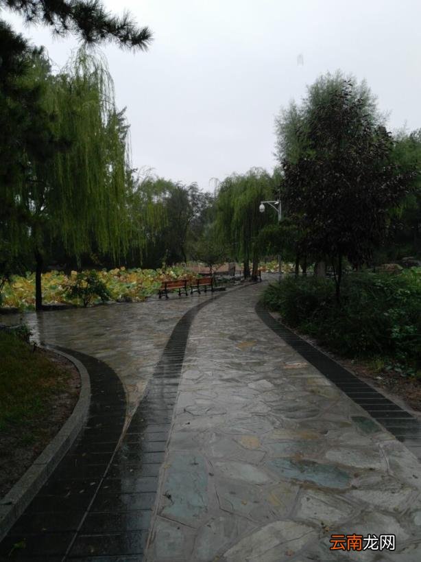 不离不弃的寓意 不离不弃什么意思