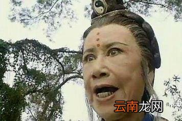 灭绝师太的介绍 灭绝师太是什么意思