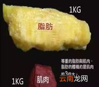 为什么穿衣宽松说明减肥出现了效果