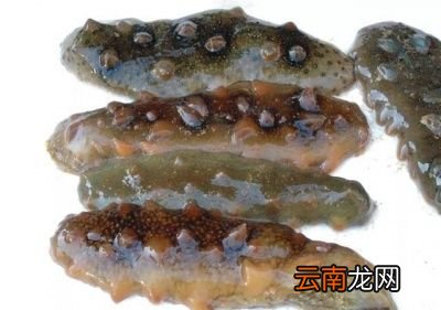 海参蒸蛋的做法