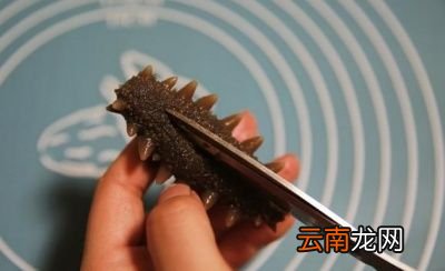 海参的烹饪方法