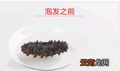 海参的泡发方法