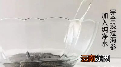 海参的泡发方法