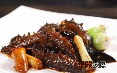 海参的泡发方法