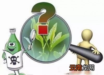 洗茶是不是可以洗掉茶叶上的农药残留
