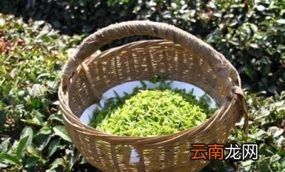 洗茶是不是可以洗掉茶叶上的农药残留