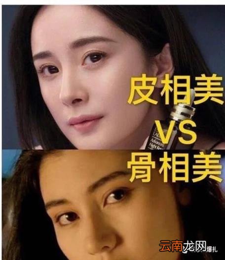 张柏芝顶级“抗老脸”骨相是什么样的?教你区分皮相美和骨相美!