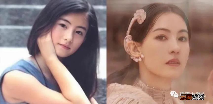 张柏芝顶级“抗老脸”骨相是什么样的?教你区分皮相美和骨相美!