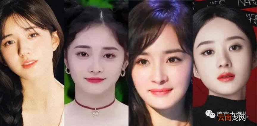 张柏芝顶级“抗老脸”骨相是什么样的?教你区分皮相美和骨相美!