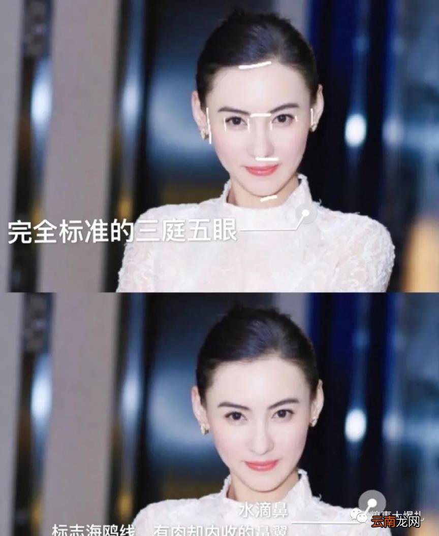 张柏芝顶级“抗老脸”骨相是什么样的?教你区分皮相美和骨相美!