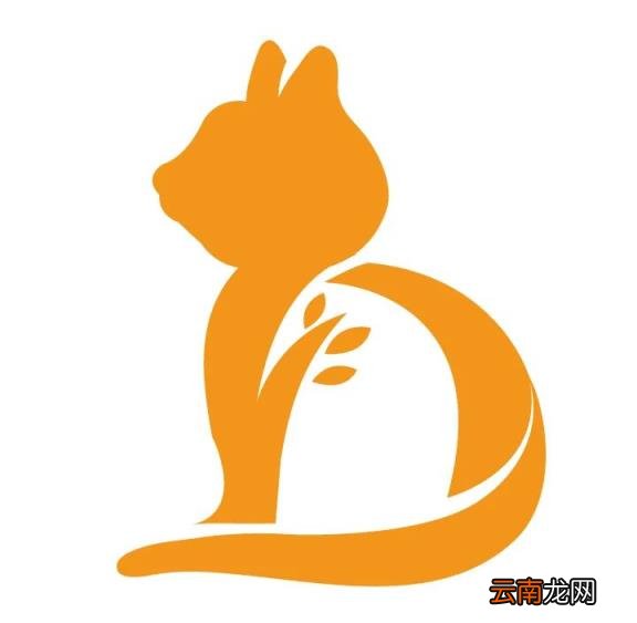 你知道罗森塔尔效应吗?