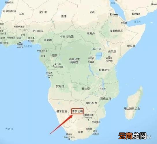 是什么导致了Omicron病毒的出现与传播?