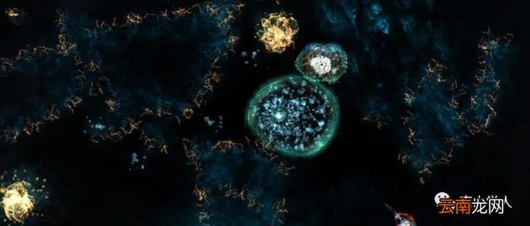 是什么导致了Omicron病毒的出现与传播?