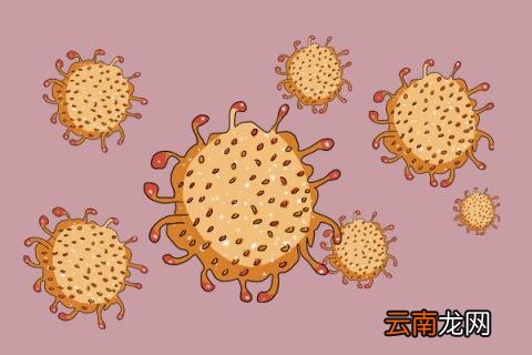 鉴别地沟油的方法 如何鉴别地沟油