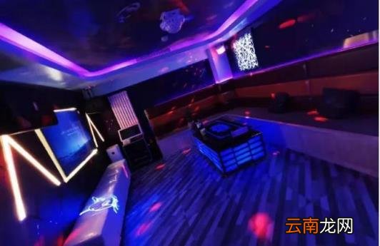 量版式的概念 量版式是什么意思