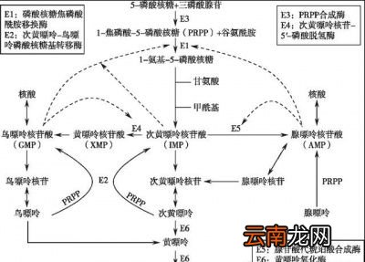 嘌呤尿酸高了会怎样