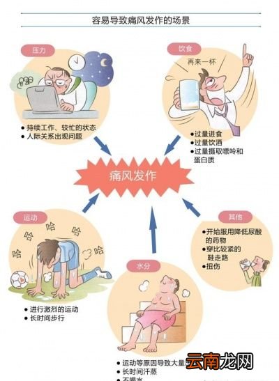 高嘌呤食物是让尿酸升高的主因吗