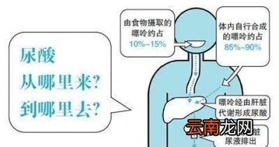又有哪些食物其实嘌呤含量并不高