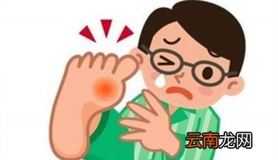 为什么吃了高嘌呤的食物人的尿酸会升高