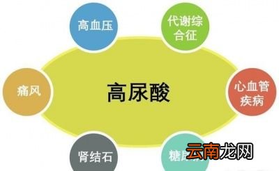 哪些食物中富含嘌呤呢