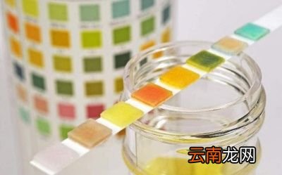 碱性的热干面未明显降低痛风发病率的可能原因